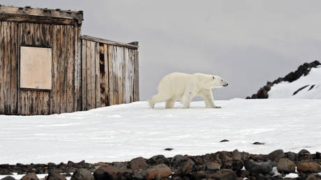 Western sanctions hinder global warming research, says NYT