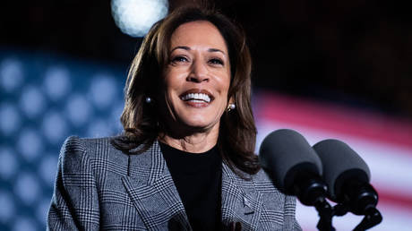 Kamala Harris speaks at a campaign rally in Ann Arbor, Michigan, October 28, 2024