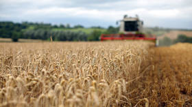 African state bars former colonial ruler from wheat tender – Reuters