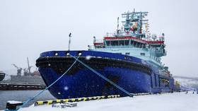 Russia to build icebreakers in India – media