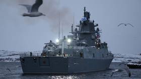 Russian warship arrives in North Africa