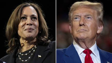 Democratic presidential nominee Vice President Kamala Harris, and Republican nominee former President Donald Trump.