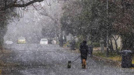 South Africa hit by historic snowfall (VIDEO)