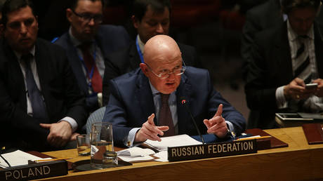 FILE PHOTO: Russian Representative at the UN Vassily Nebenzia.