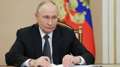 Putin discusses security with Central African Republic leader