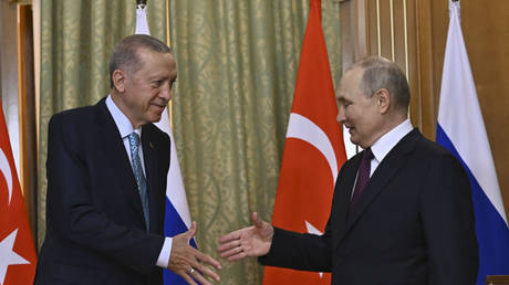 Erdogan and Putin Conduct Telephone Conversation