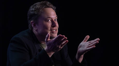 Musk Strikes Merkel 'Below the Belt,' According to German Media