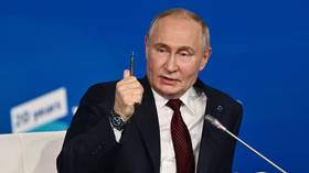 EU ‘lacks brains’ – Putin