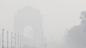 India introduces restrictions as smog chokes New Delhi