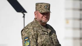 ‘Almost no chance of survival’ – ex-top Ukrainian general to troops