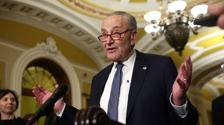 US Democrats Vote to Retain 74-Year-Old Senate Leader