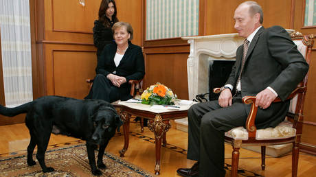 Merkel turns down Putin's apology over Labrador incident