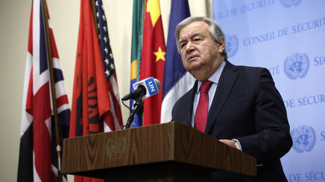 Africa to have permanent Security Council seats – UN chief