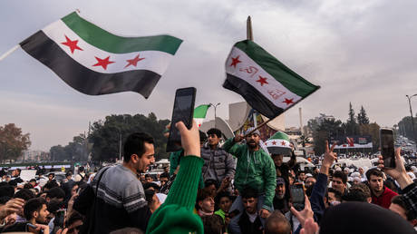 Assad's Party Halts Operations