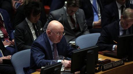 UN veto not a ‘license to kill civilians’ – Russian envoy