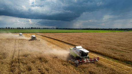 Russia overtakes France as top wheat supplier to North African country