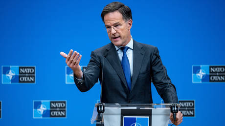 NATO tells members to divert social spending to militaries