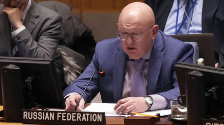 Russia UN Ambassador Vasily Nebenzya addresses the United Nations Security Council, Thursday, Dec. 19, 2024.