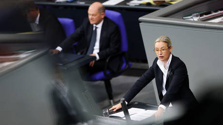 Alice Weidel, co-leader of the right-wing Alternative for Germany (AfD), at the Bundestag, Berlin, Germany, December 16, 2024.