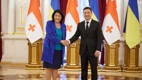 Georgian president hails sanctions against her political rivals