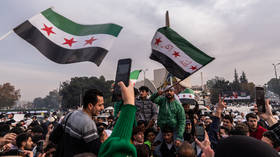 Assad’s party suspends work