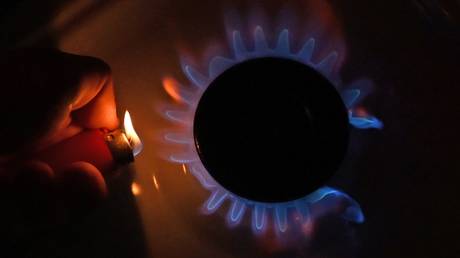 German energy official asks citizens to save gas