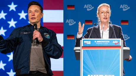 Merkel 'ruined' Germany, Ukraine conflict, 'Hitlerian' censorship: Highlights from Musk's discussion with AfD leader