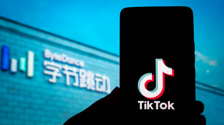 China considering selling TikTok to Musk – Bloomberg