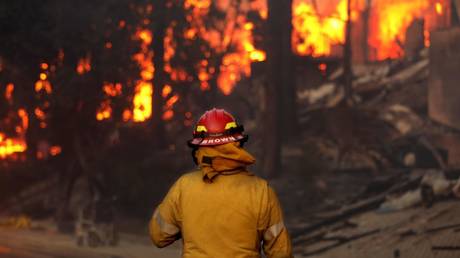 Assessment of Economic Damage from LA Fires Completed