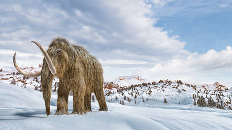 US Firm Aims to ‘Resurrect’ Mammoths