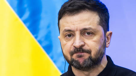 Ukrainian MP tells Zelensky to behave like a dog