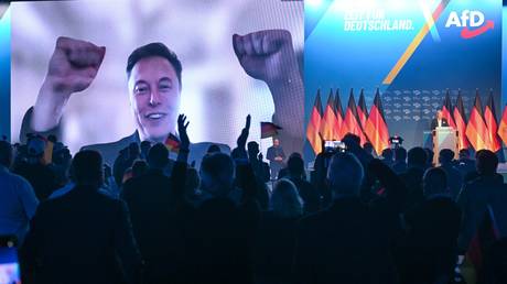 Elon Musk addresses the Alternative for Germany (AfD) rally participants via a video link in Halle, Germany, on January 25, 2025.