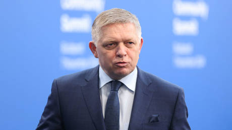 FILE PHOTO: Slovak Prime Minister Robert Fico at the European Political Community summit at Puskas Arena in Budapest, Hungary, November 7, 2024.