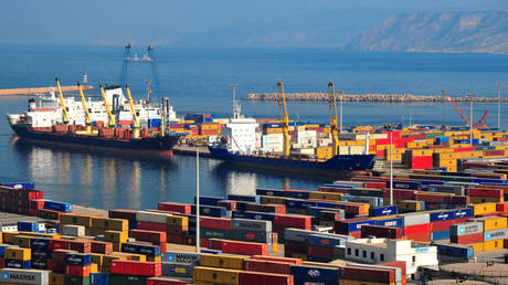 FILE PHOTO: Container ships being loaded at the port in Oran, Algeria, January 2008.