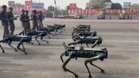 India army showcases ‘robo-dogs’ (VIDEO)