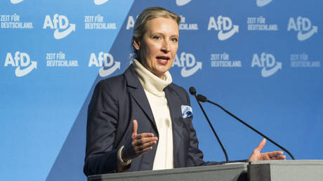 AfD chief promises to shut Germany's borders