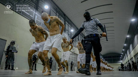 FILE PHOTO. Inmates belonging to the MS-13 and Barrio 18 gangs arrive to the Terrorist Confinement Center (CECOT) in Tecoluca, El Salvador.