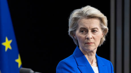 European Commission President Ursula von der Leyen at the meeting of the EU leaders in Brussels, Belgium, December 19, 2024.