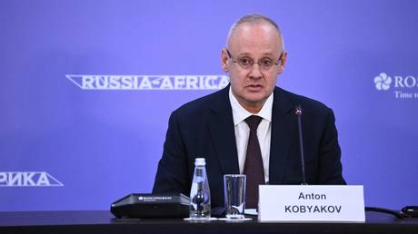 Russia-Africa partnership among top priorities – Putin adviser