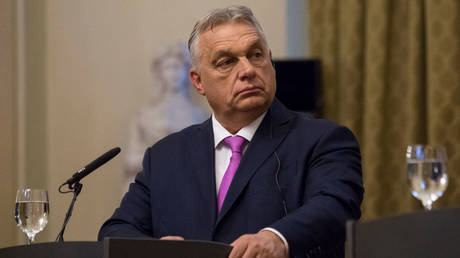 Hungarian Prime Minister Viktor Orban @  Zuzana Gogova/Getty Images