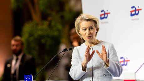 EU’s von der Leyen calls for alternative to NATO