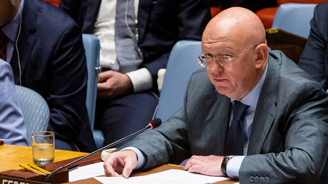 FILE PHOTO: Vassily Nebenzia.