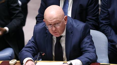 FILE PHOTO: Moscow’s ambassador to the UN Vassily Nebenzia.