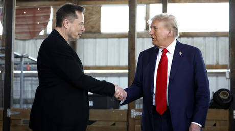 FILE PHOTO: Elon Musk and Donald Trump.