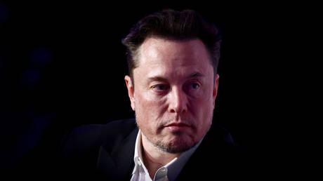 US agency spent millions on luxury hotels for undocumented immigrants, says Musk