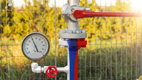 EU gas imports from Russia surge, reports media