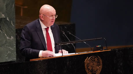 Permanent Representative of Russia to the UN, Vassily Nebenzia.