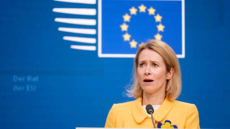 FILE PHOTO: EU High Representative for Foreign Affairs and Security Policy, Kaja Kallas