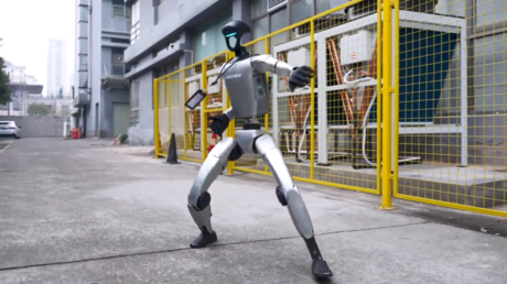 SEE humanoid robot demonstrate kung fu