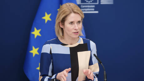 EU Commission vice-president, High Representative for Foreign Affairs and Security Policy Kaja Kallas.